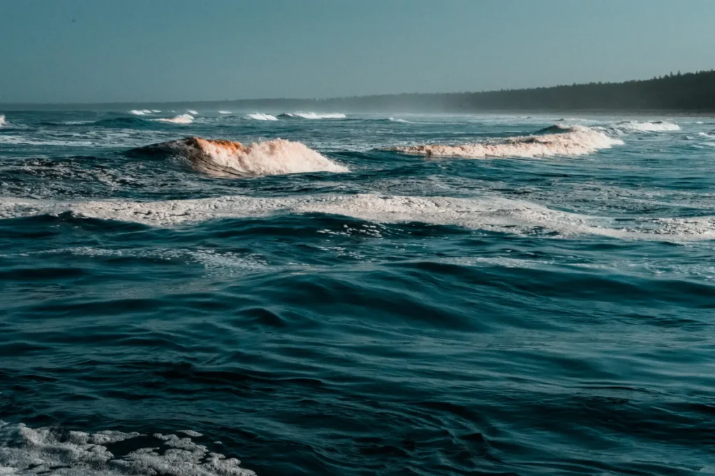 Por que o mar é salgado e por que não fica mais salgado