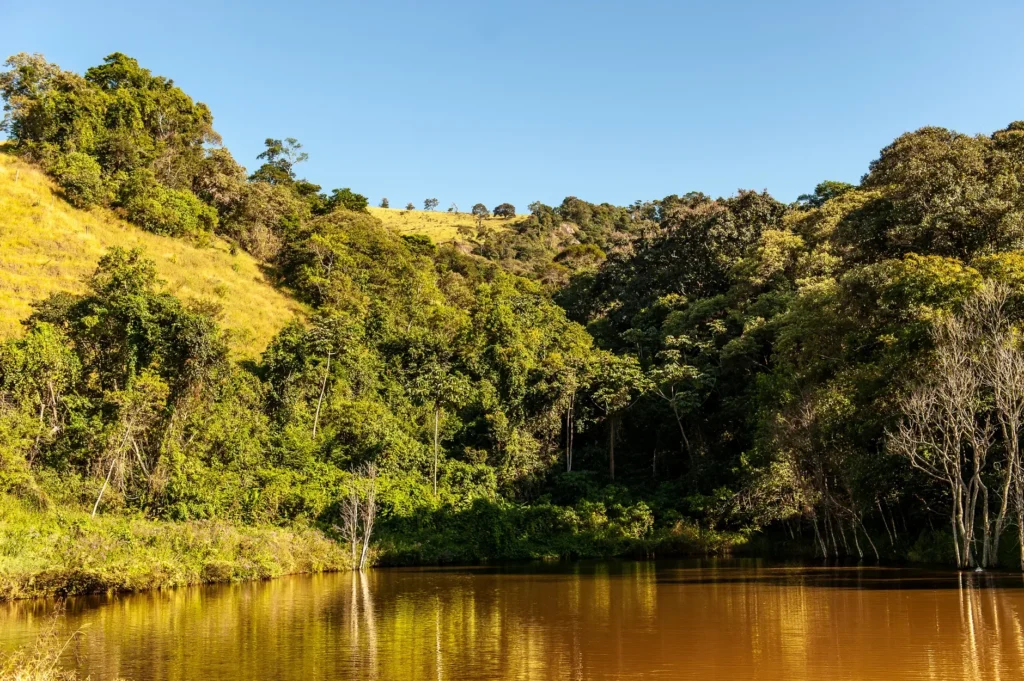 Por que a água ferve mais rápido na montanha? A resposta